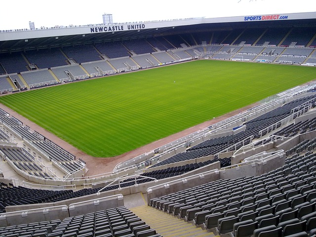 从他在多特